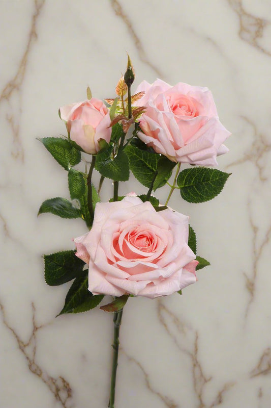 Light Pink Hybrid Tea Rose Spray