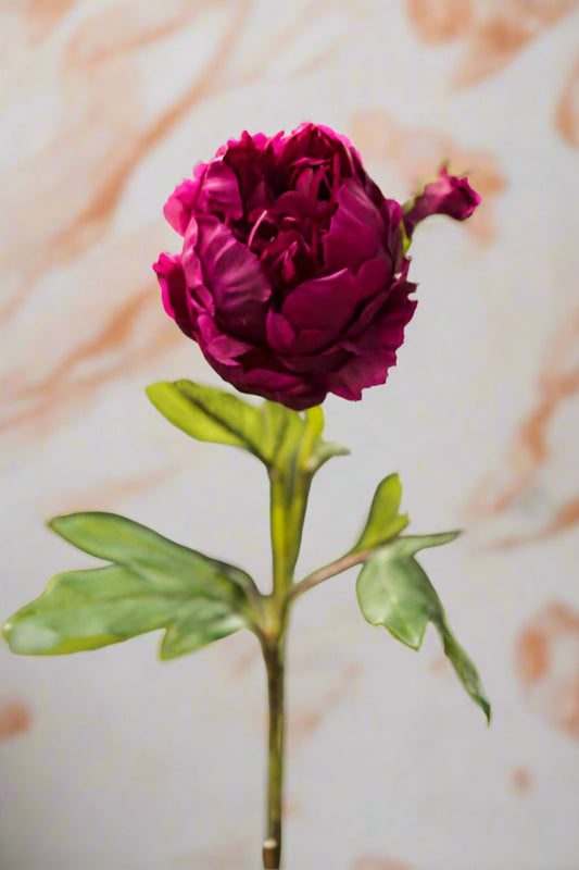 Dark Double Petal Faux Peony Stem