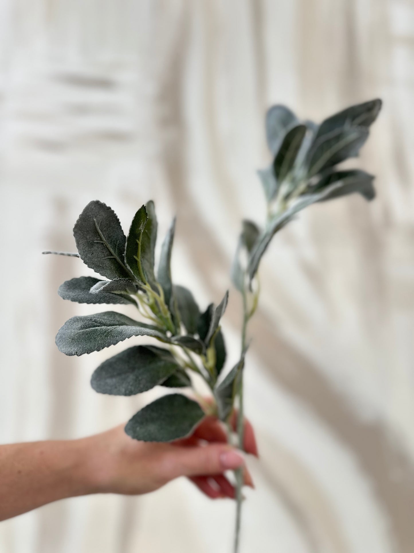 Faux Green Lambs Ears Leaf Stem
