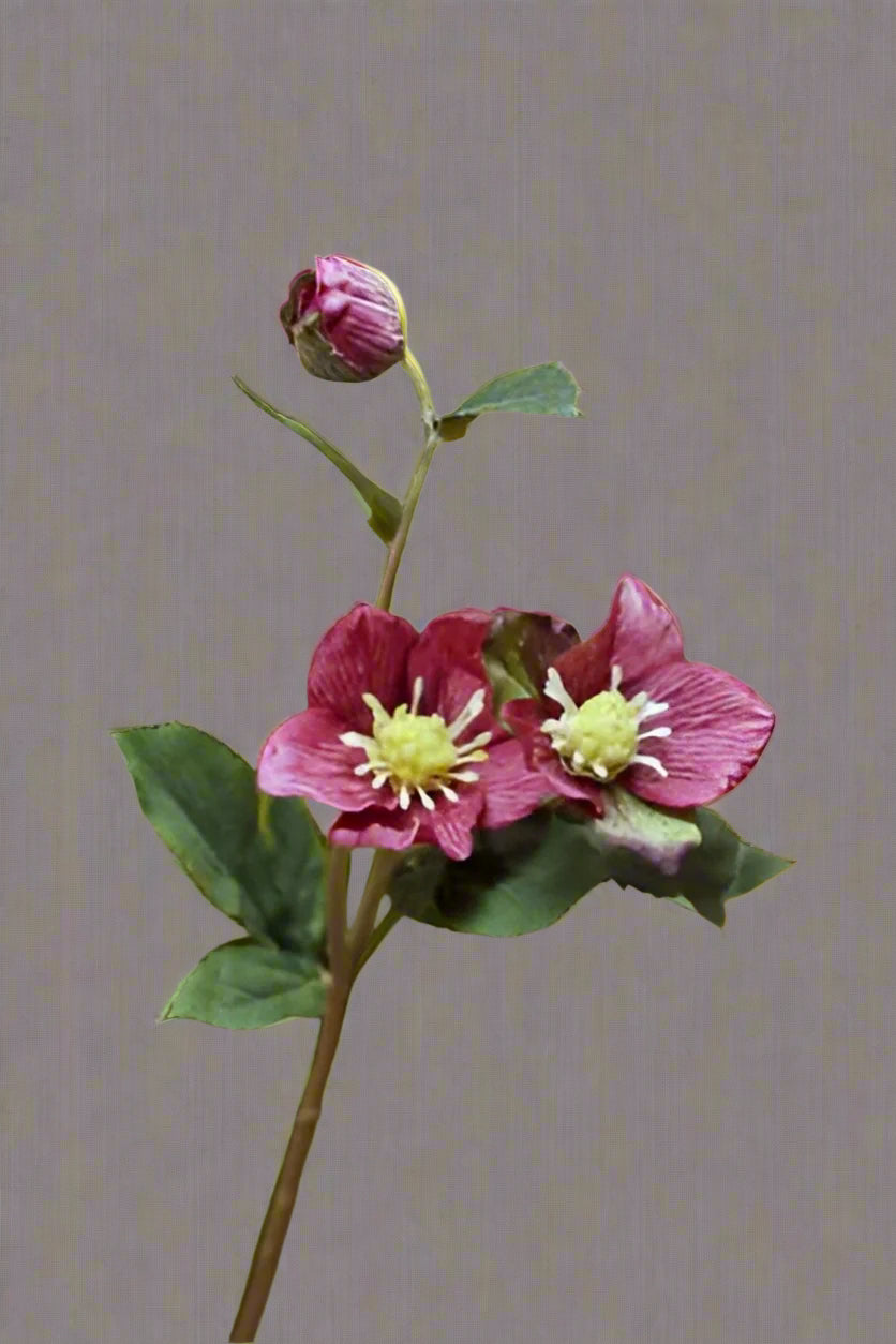 Faux Deep Pink Hellebores Stem