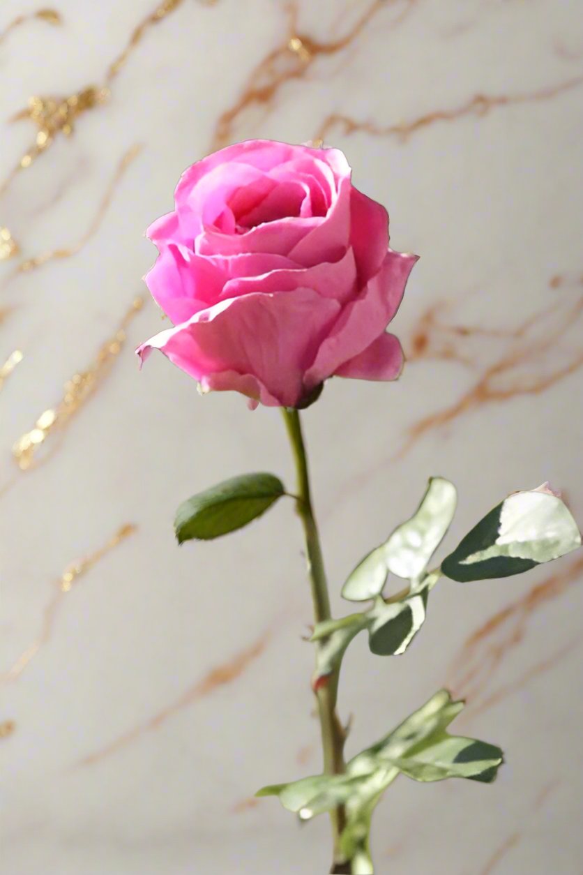 Faux Elegant Bright Pink Med  Rose Bud Stem