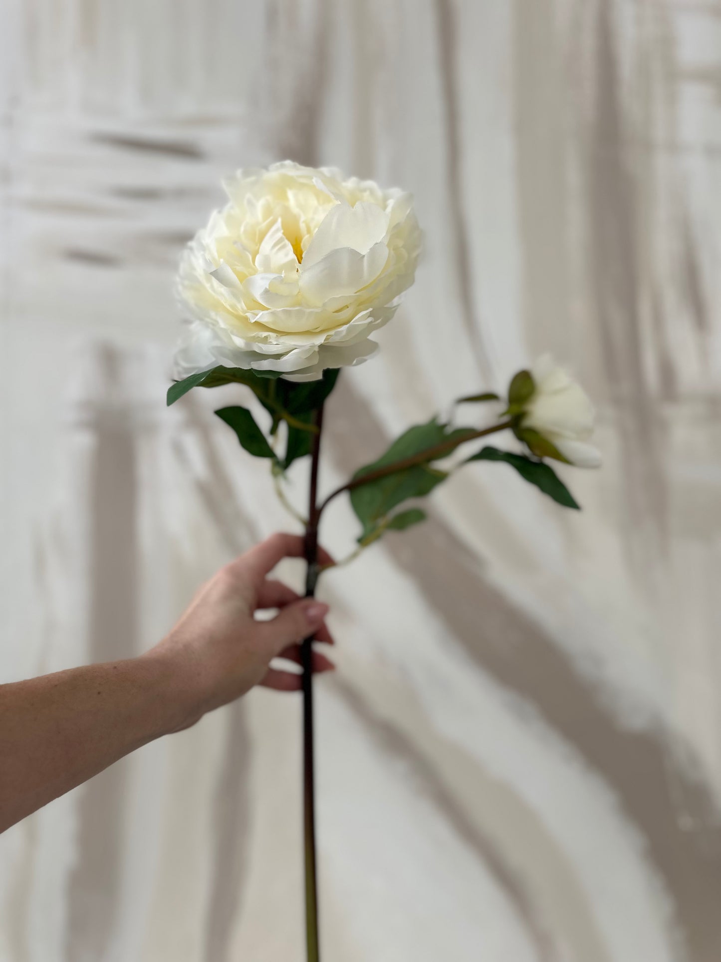 Off White Faux Peony With Small Bud Stem