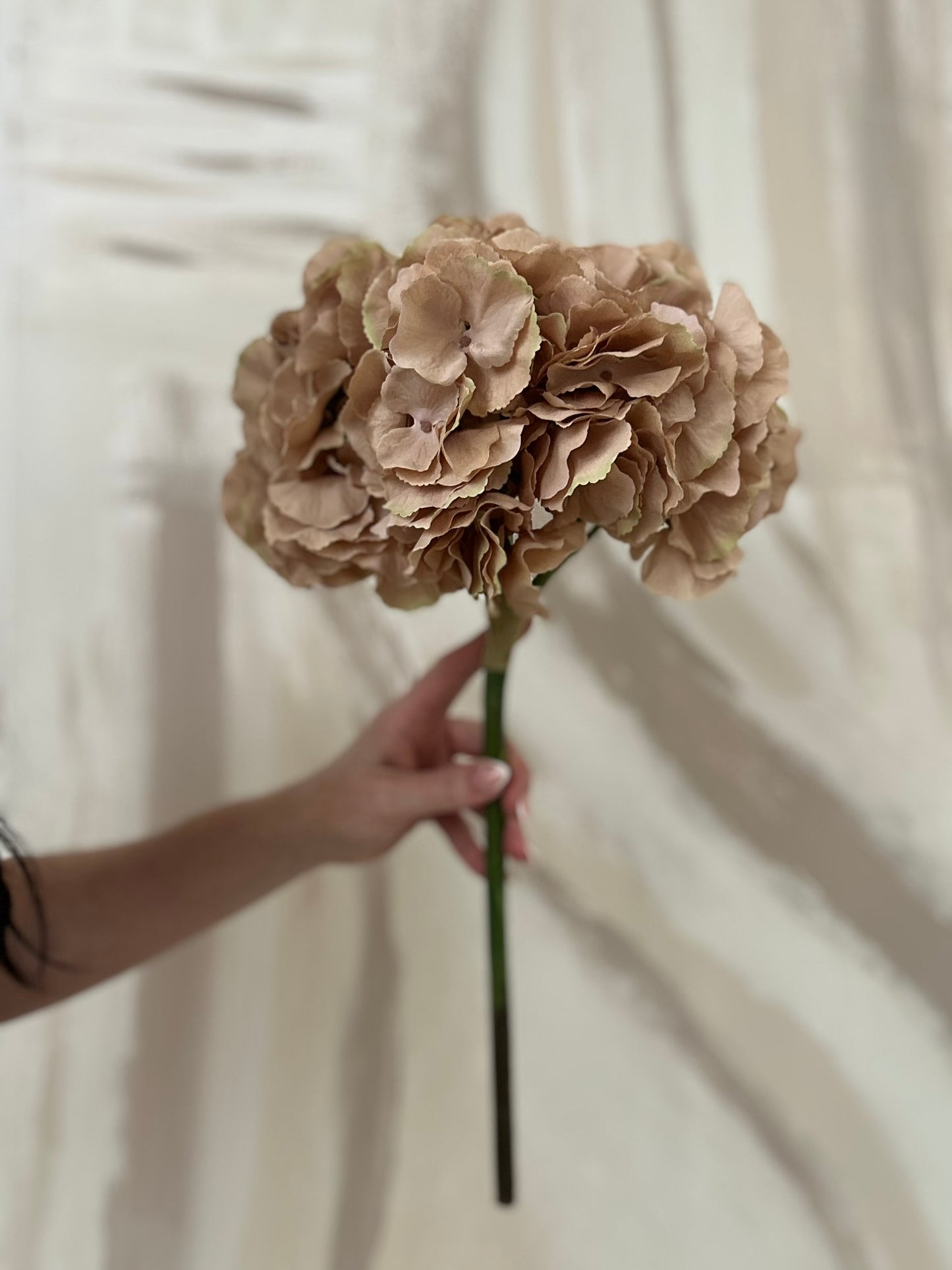 Signature Chocolate Coffee Brown Faux Hydrangea Stem