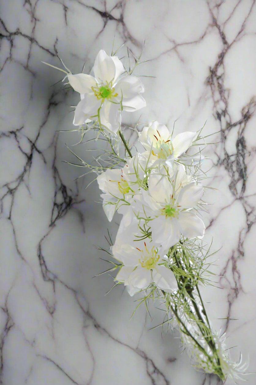 Love In The Mist - Nigella Bunch of Stems - Colour Options Available