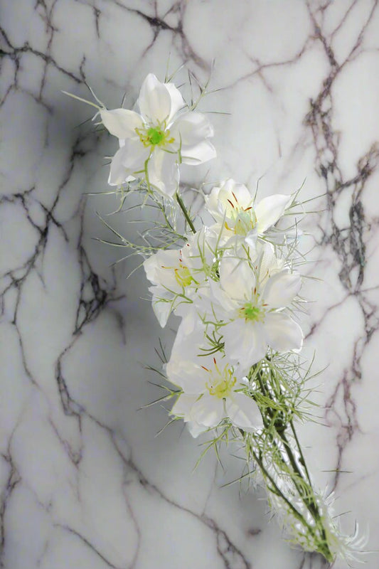 Love In The Mist - Nigella Bunch of Stems - Colour Options Available