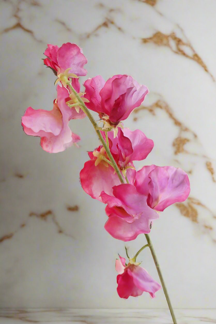 Pretty silk dark pink sweet peas