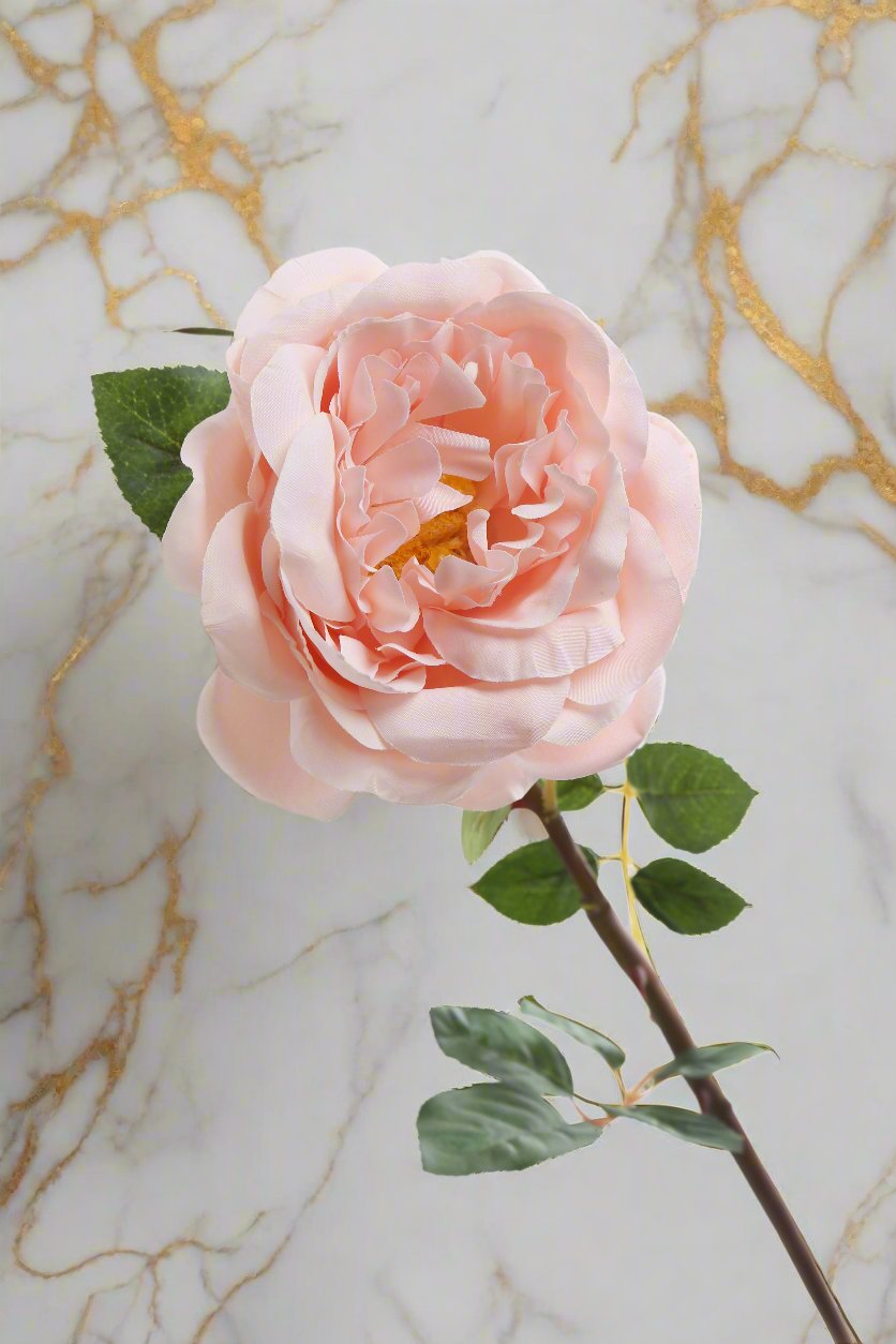 Stunning silk rose blush Old English rose bud