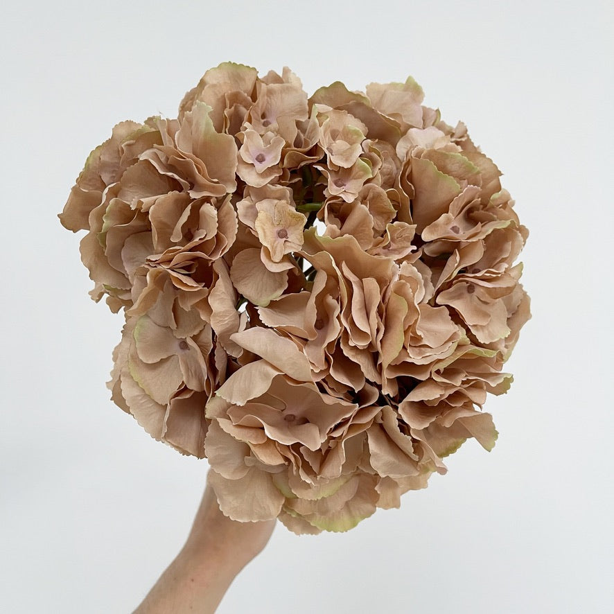 Signature Chocolate Coffee Faux Hydrangea Stem