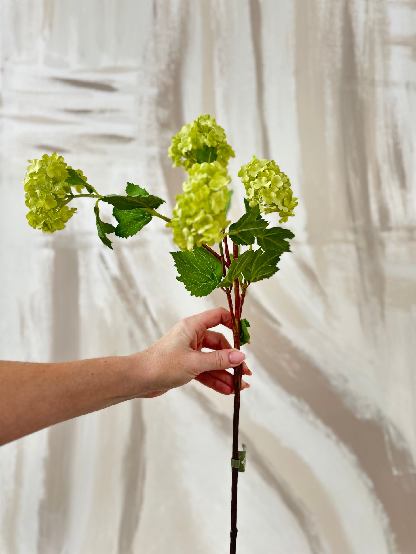 Elegant Pale Green Faux Viburnum Stem