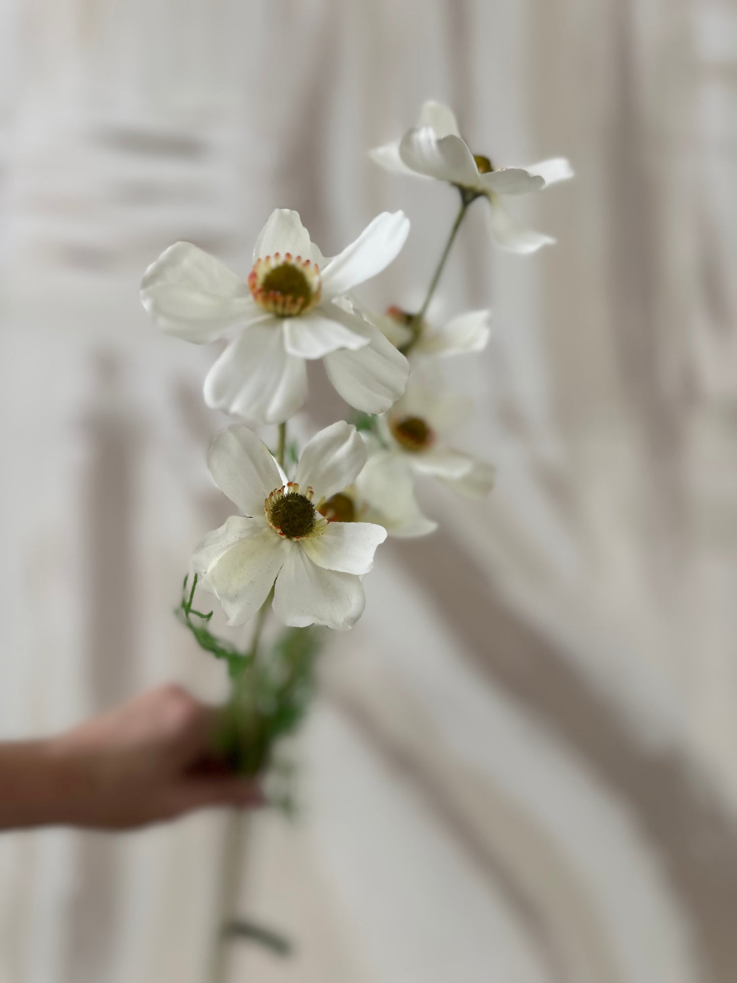 Elegant White Faux Cosmos Daisy Stem