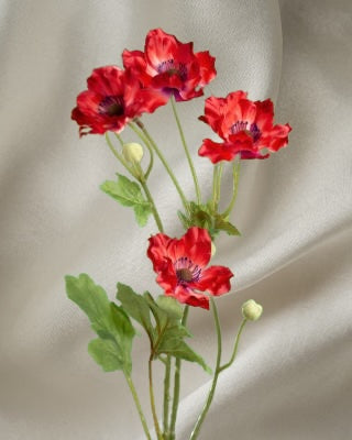 FF411/RD Red Poppy