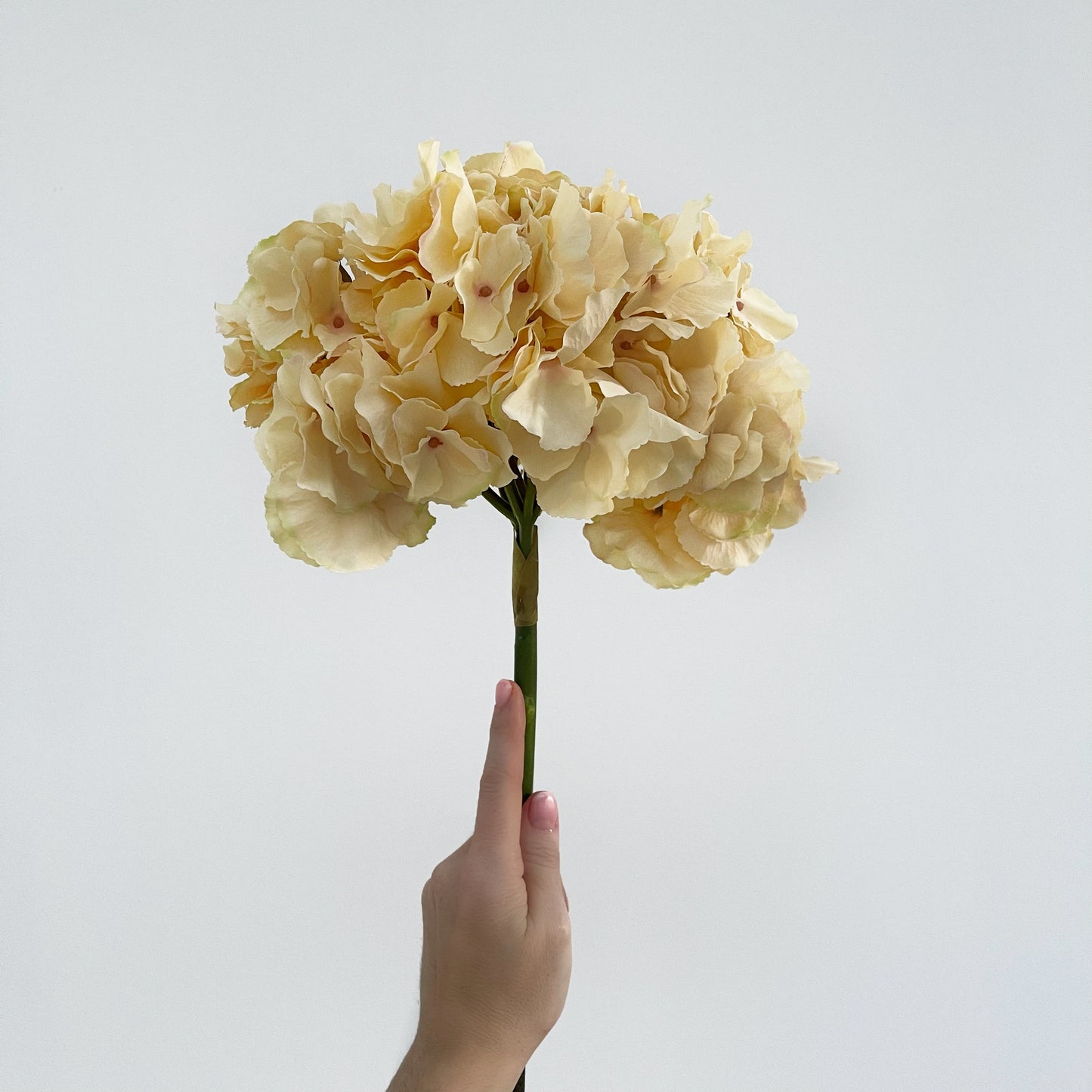 Signature Caramel Faux Hydrangea Arrangement