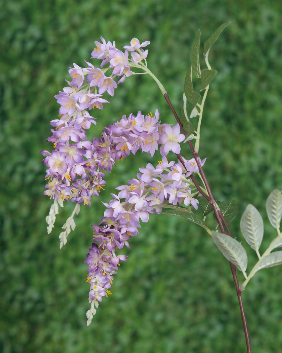 HY/PU  Wisteria Mauve