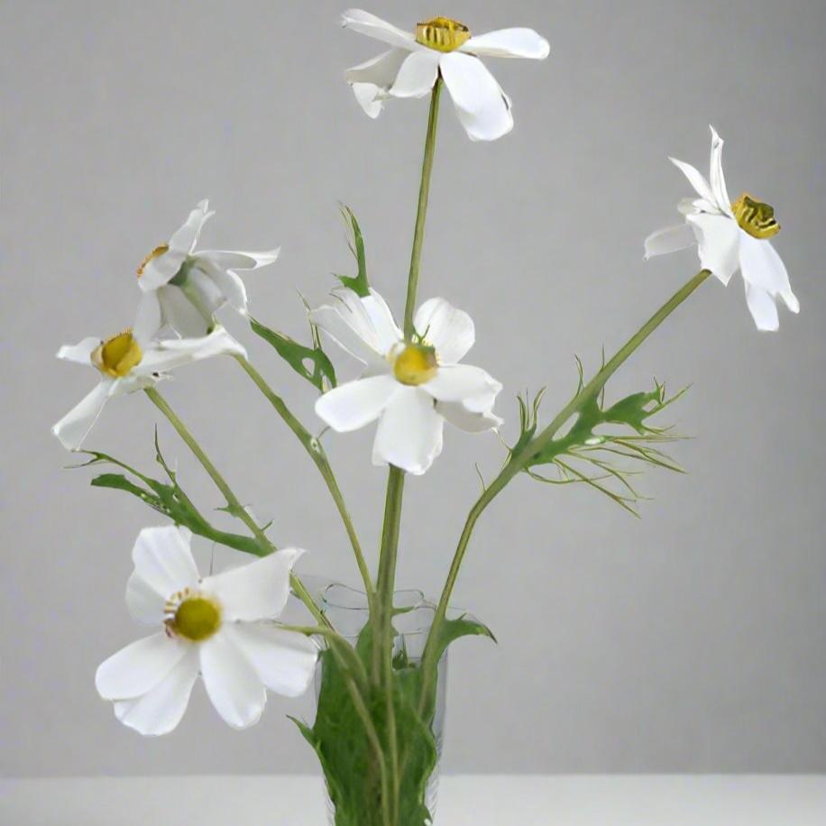 Elegant White Faux Cosmos  Stem