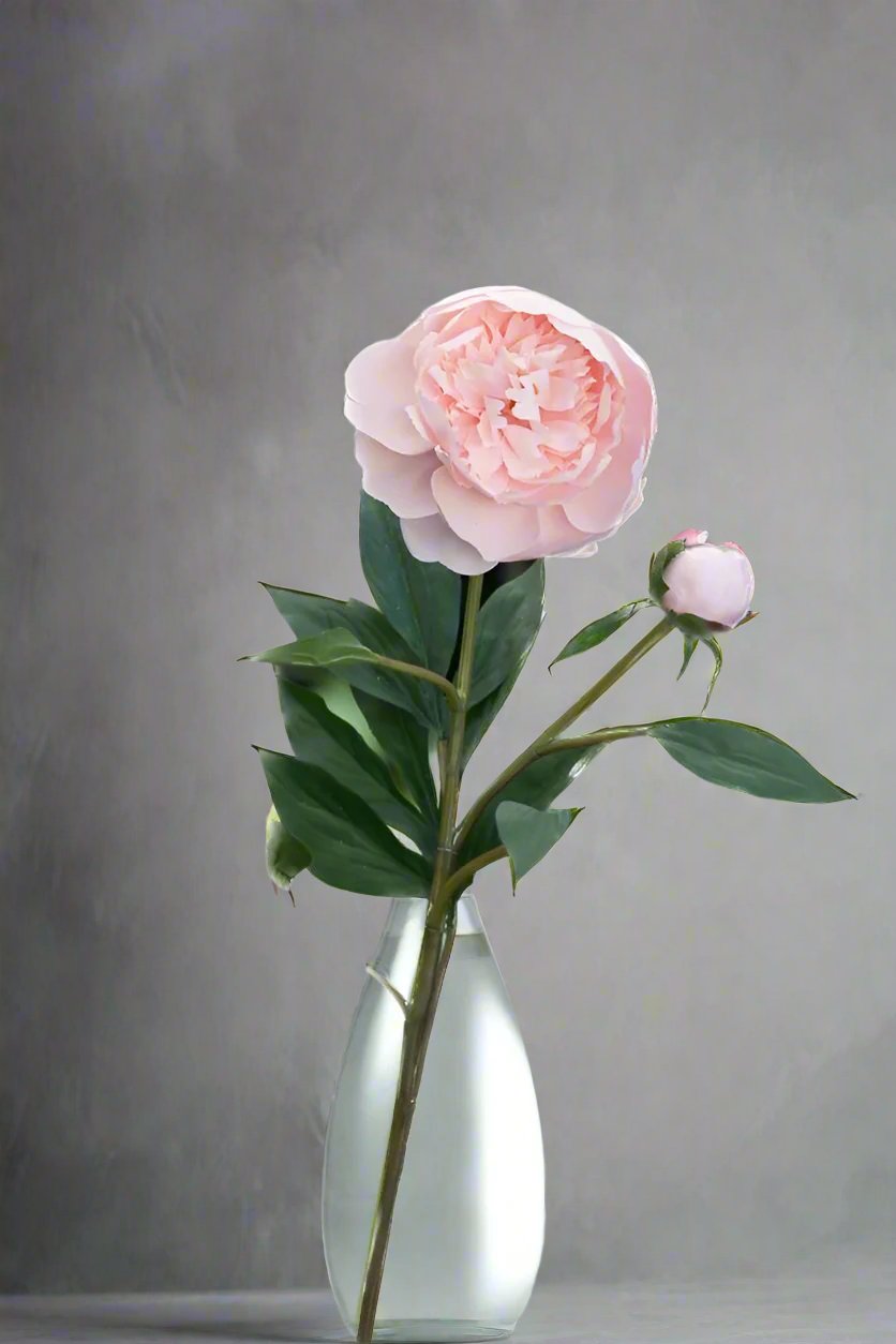 Faux Fresh Open Blush Pink Peony Stem