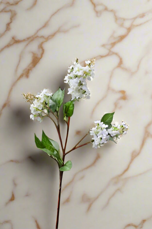 White Lilac Long Stem