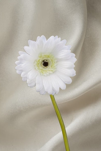 FF477/WH White Gerbera