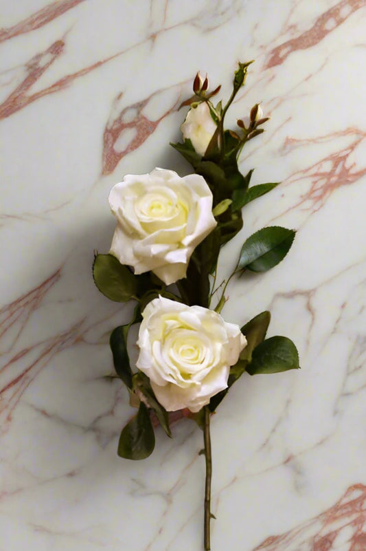 White Hybrid Tea Rose Spray