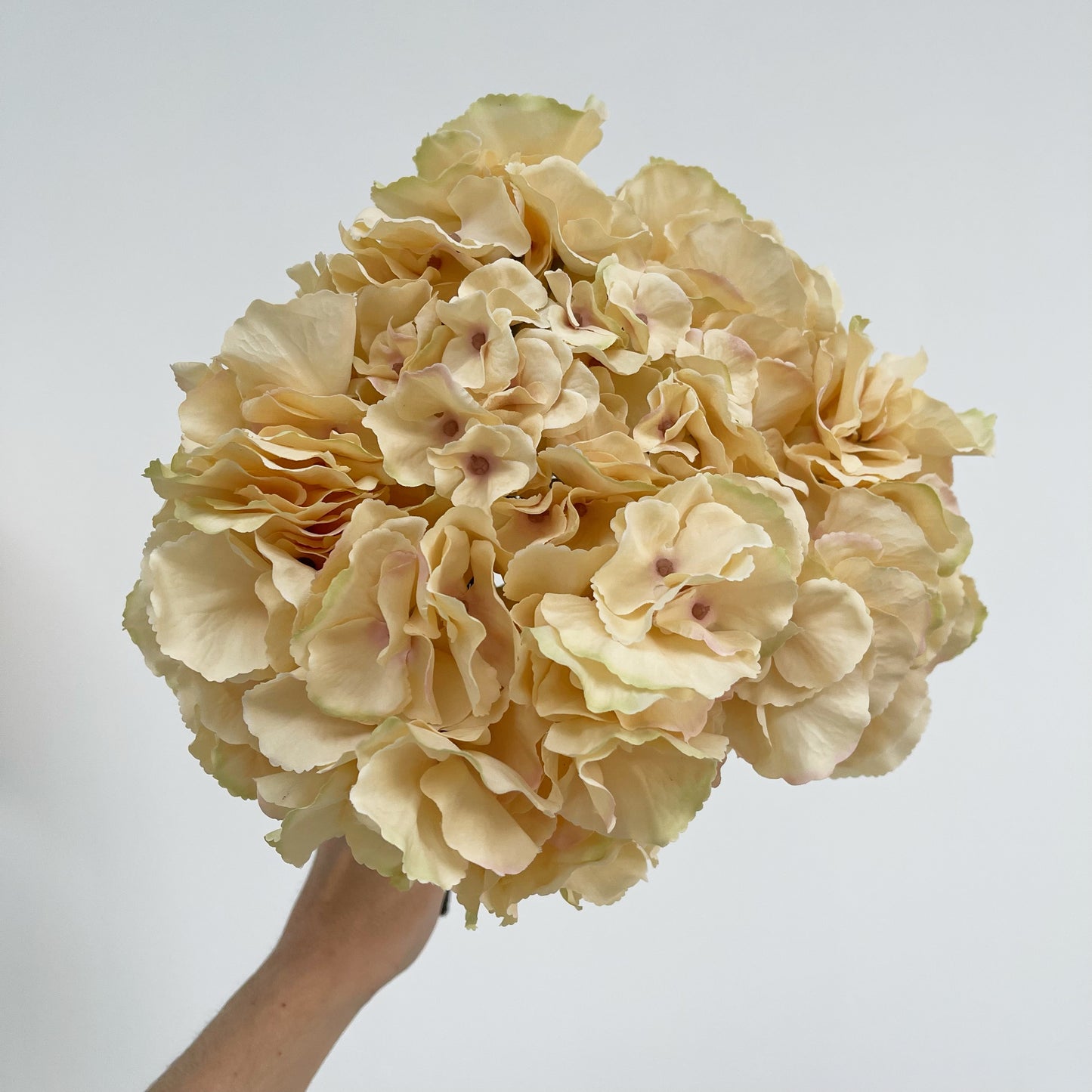 Signature Caramel Faux Hydrangea Arrangement