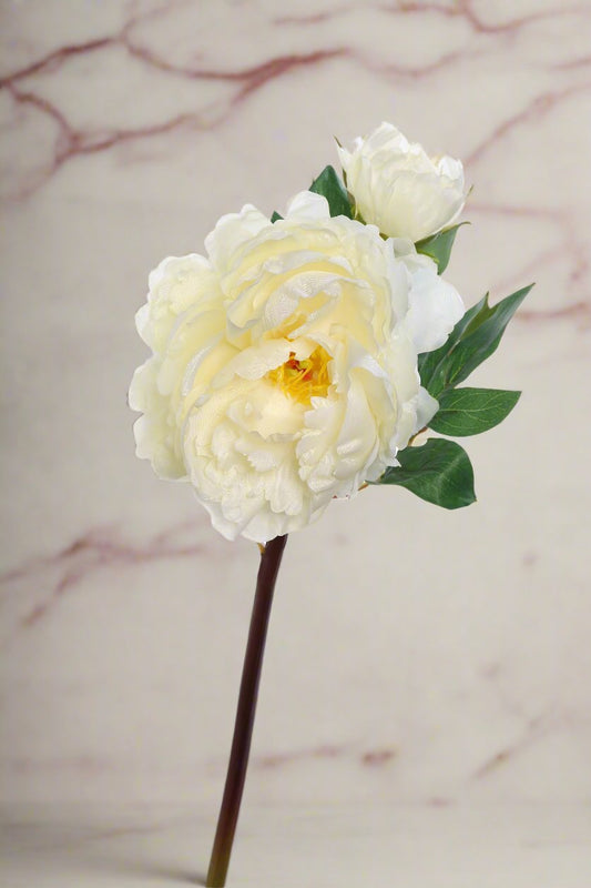 Off White Faux Peony With Small Bud Stem