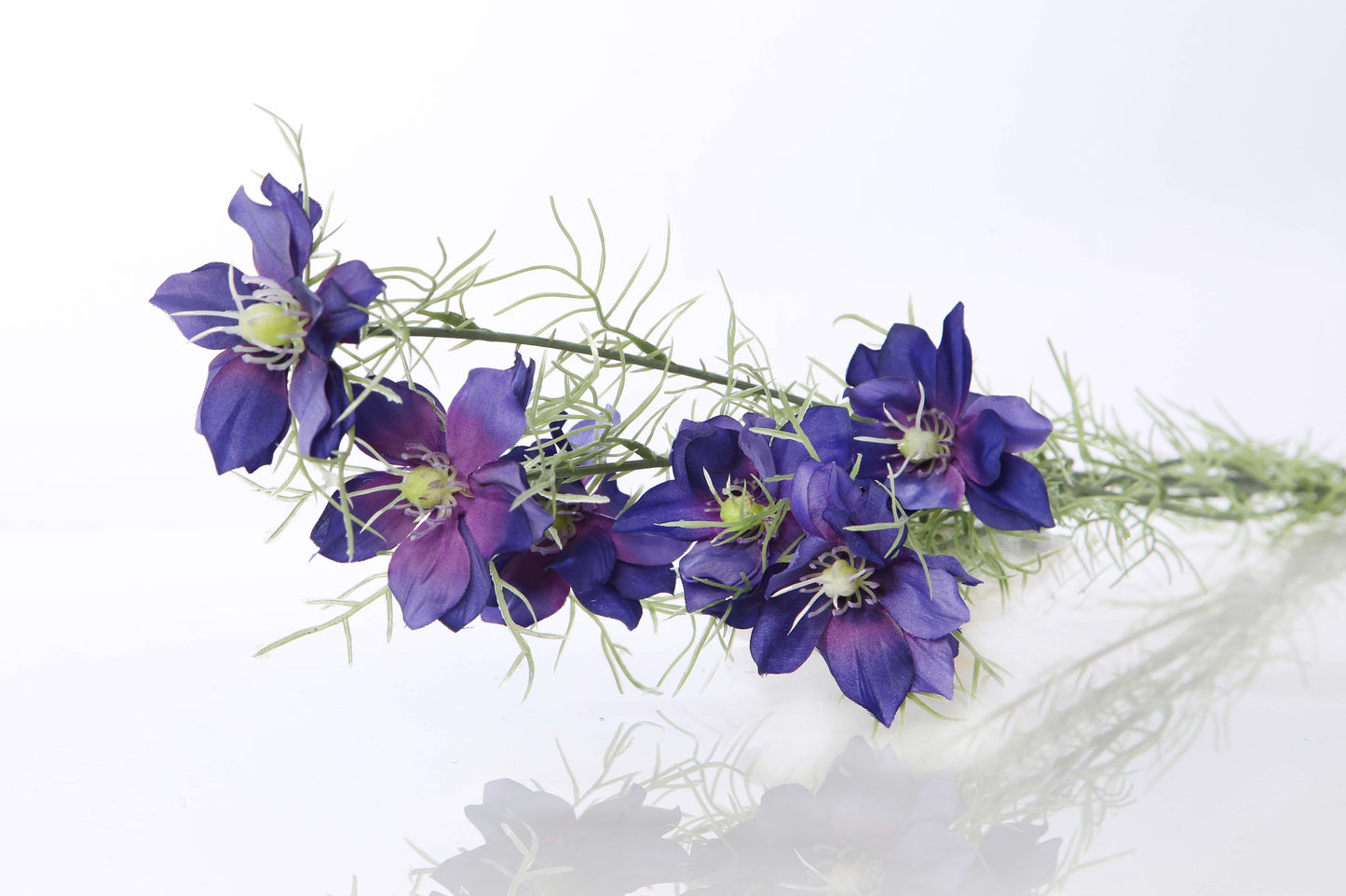 Love In The Mist - Nigella Bunch of Stems - Colour Options Available