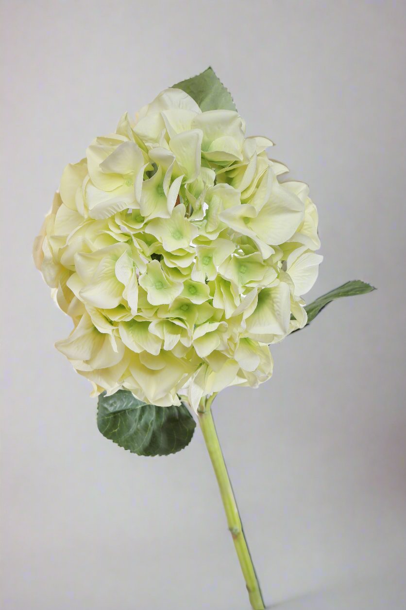 Beautiful pale green faux artificial hydrangea