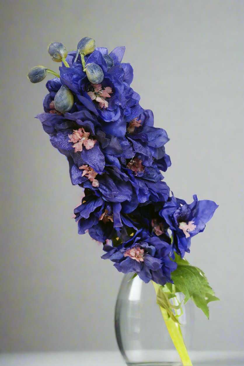 Brilliant dark blue double delphinium