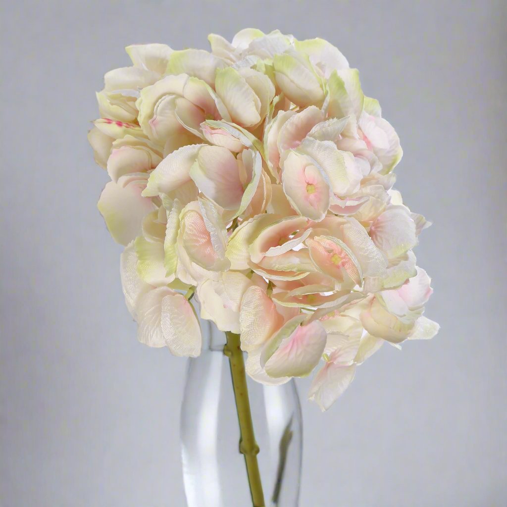 Shaded Mixed Pinks Hydrangea Medium Stem