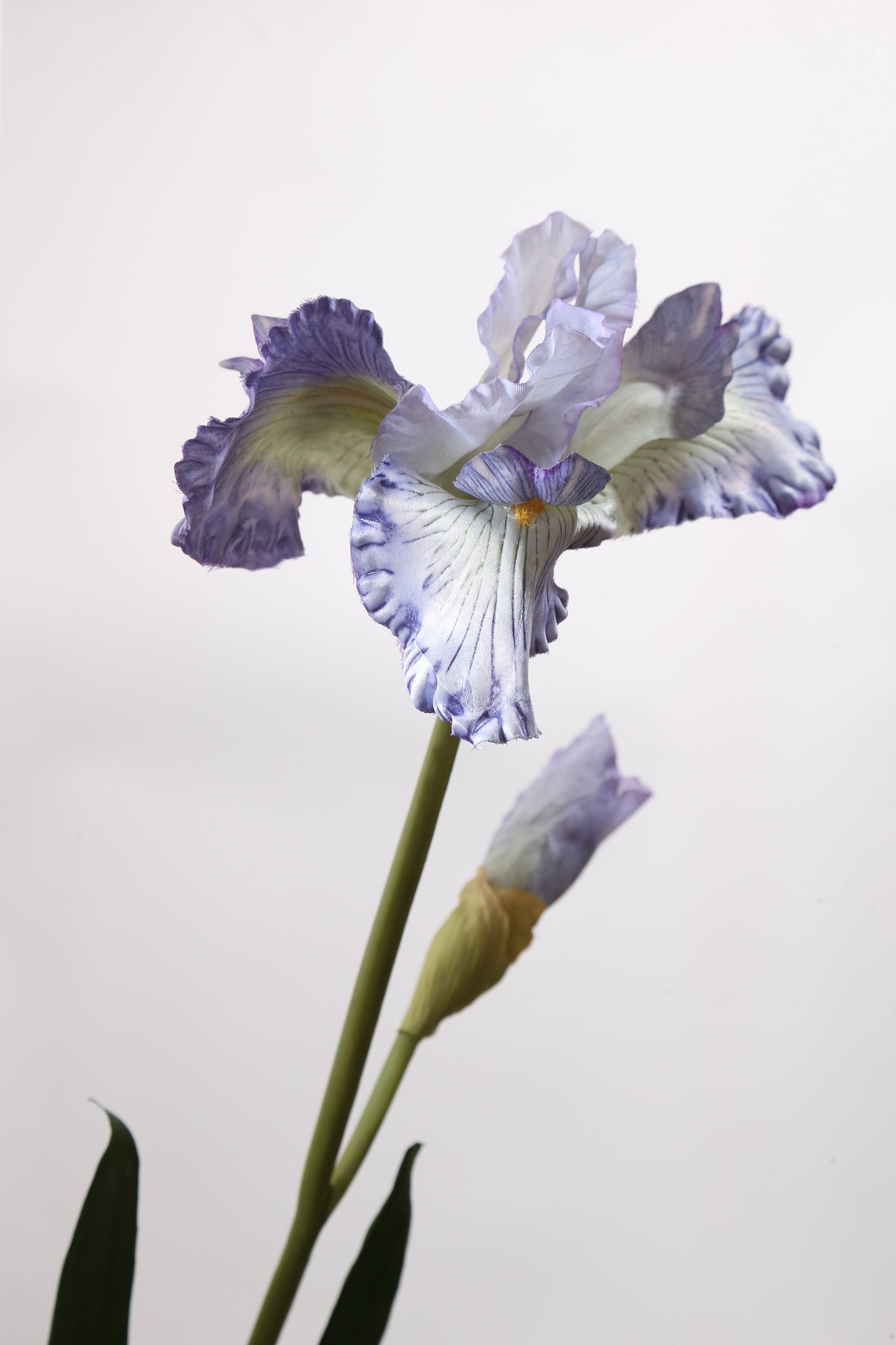 Stunning lilac artificial iris