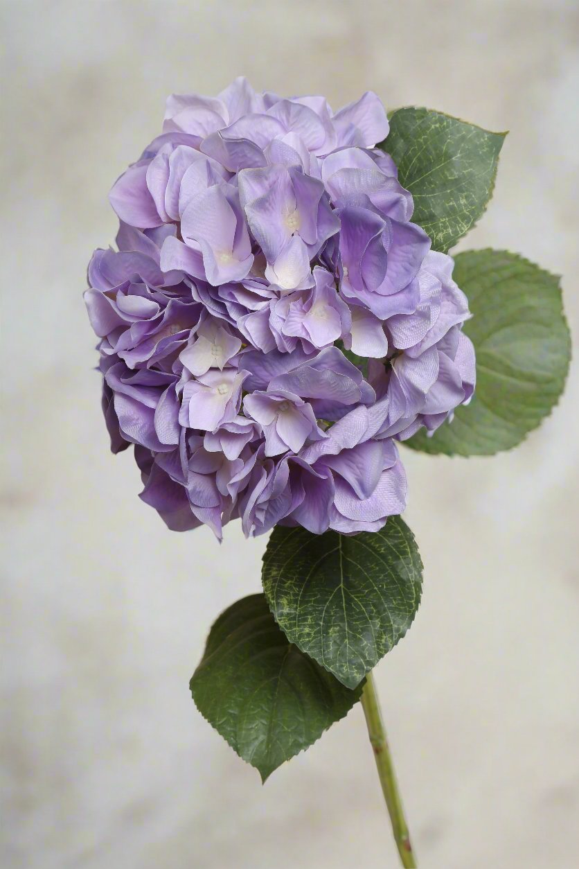 Fabulous lavender silk hydrangea