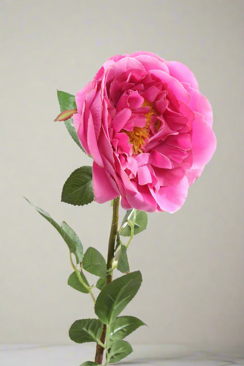 Stunning faux bright pink Old English rose bud