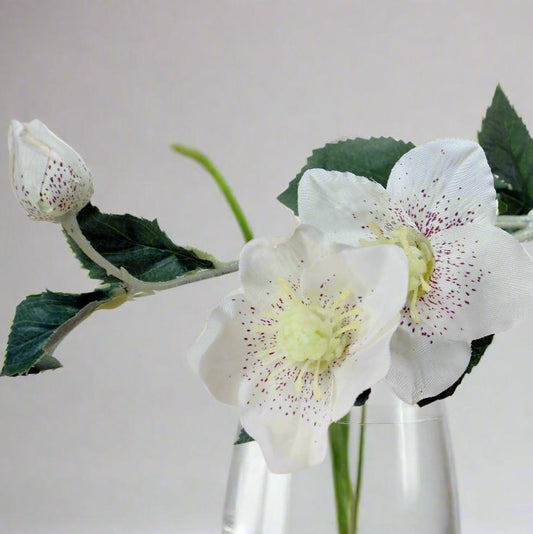 Brilliant white artificial hellebore