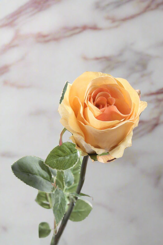 Gorgeous large apricot silk rose bud