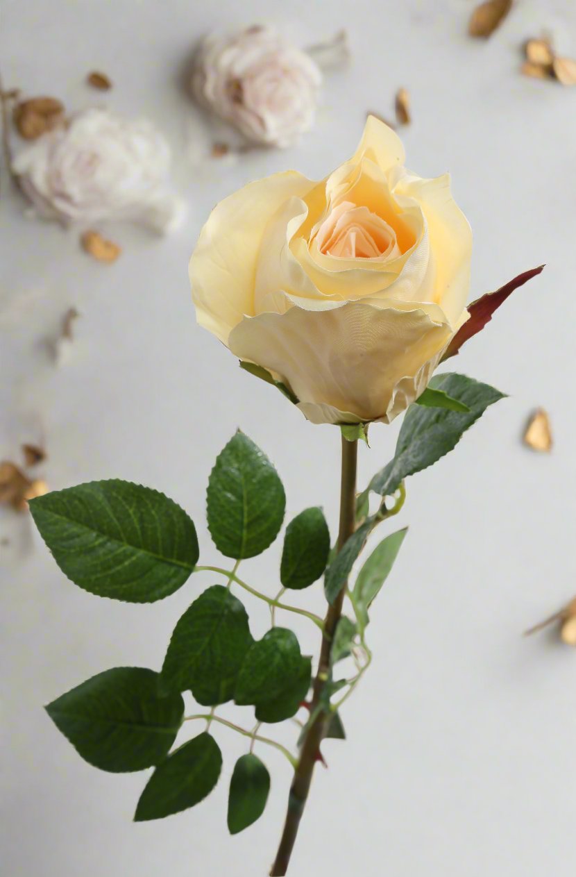 Pretty large pale apricot silk rose bud